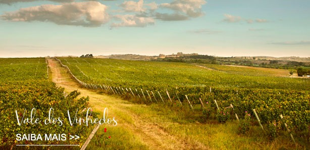 vale_dos_vinhedos vale_dos_vinhedos